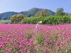 -径山花海