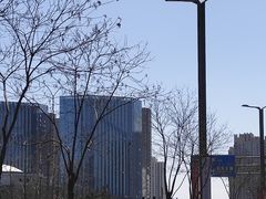 -老北京卤煮(平阳路大马店)