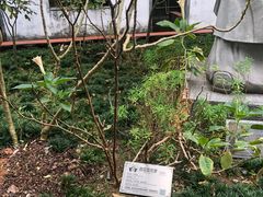 -广州神农草堂中医药博物馆