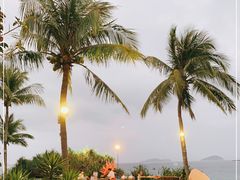 -亚龙湾喜来登·美景台大堂吧