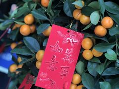 -真爱年华水疗健康运动中心(朱雀大街店)