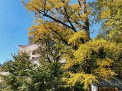 -九华山风景区