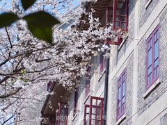 -武汉大学-樱园