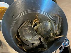 -星伦多 自助料理(圆融店)