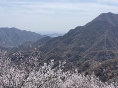 -大岭沟猕猴桃谷风景区