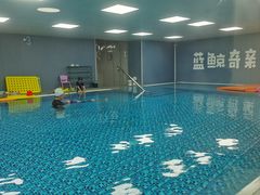 -蓝鲸奇亲子游泳俱乐部