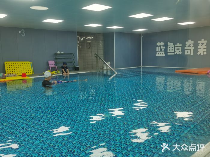 蓝鲸奇亲子游泳俱乐部图片