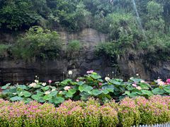 -广州莲花山旅游区