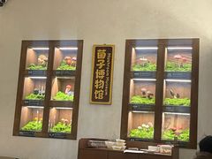 -菌自由丨野生菌火锅特色庭院餐厅(丽江古城店)