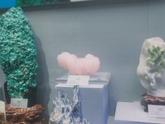 -湖南省地质博物馆