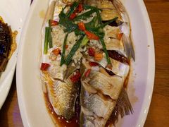 乌镇白水鱼-印象江南(东栅店)