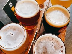 -Boxing Cat Brewery拳击猫精酿啤酒馆(永福店)