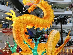 -正佳自然科学博物馆