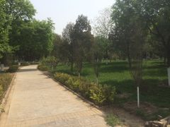-石榴庄公园