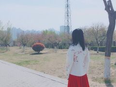-西安青龙寺遗址景区