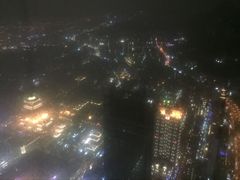 -顶鲜101美食美景餐厅