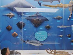 -国家自然博物馆