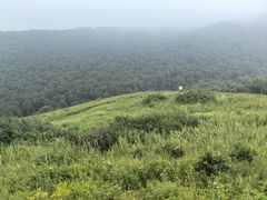-灵山