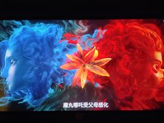 -龙之星国际影城(太平店)