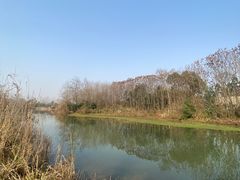 -白鹭湾湿地公园