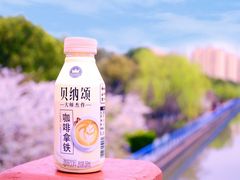 -高东镇樱花园