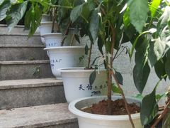 -天怡·鱼工厂(梅溪湖店)
