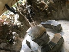 -疯狂屋