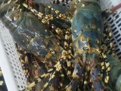 -顺德了能馆(虎门店)