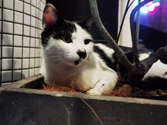 -烎记烧烤(蓝天花园店)