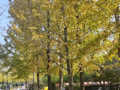 -浙江农林大学(东湖校区)