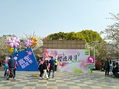 -高东镇樱花园