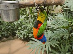 -南宫五洲植物乐园