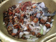 炝锅江团-小胖墩炝锅鱼(天钥桥路店)