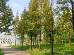 -眉山湿地公园(东坡区)