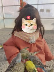 -萌宠亲子动物乐园(槐房万达店)