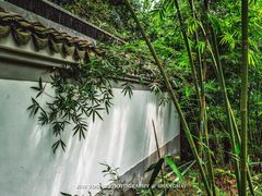 -上海佘山国家森林公园天马山园