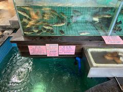 -荔城生鲜盛宴(番禺旗舰店)