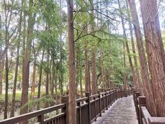 -东湖落雁景区