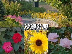 -楚望台遗址公园