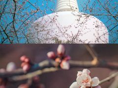 -北海公园