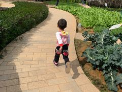 -天河儿童公园