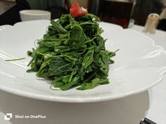 -北塘海鲜·天津菜(大光明桥旗舰店)