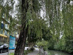 -桂湖森林公园