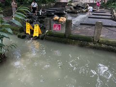 -成都市活水公园