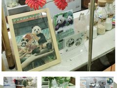 -广州动物园