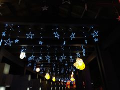 -映月湖公园