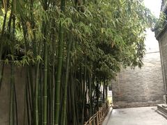-罔极寺