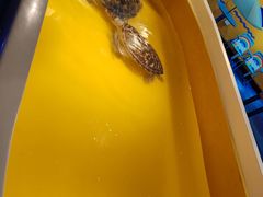 -秦皇岛新澳海底世界