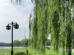 -什刹海