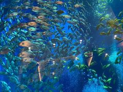 -成都浩海立方海洋公园